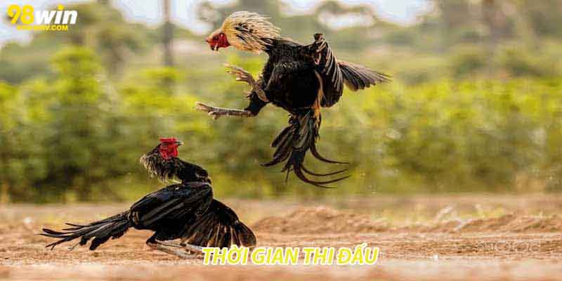 Thời gian thi đấu